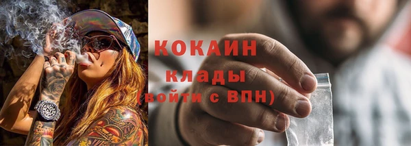 прущие грибы Абинск