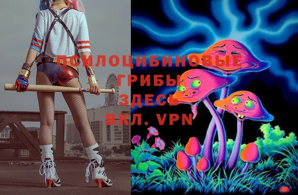 прущие грибы Абинск
