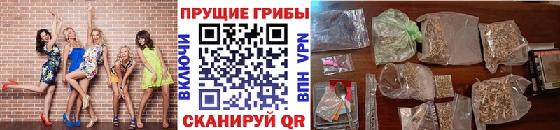 Галлюциногенные грибы MAGIC MUSHROOMS  где найти   Благовещенск 